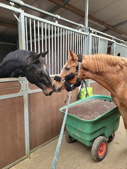 Equestrian Center Le Sagittaire, Centre Equestres à Hettange-Grande