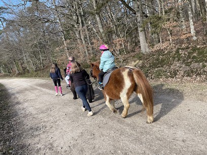 Stables Du Moulin À Vent, Centre Equestres à Manou