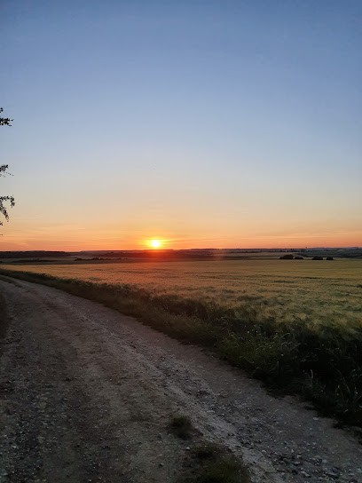 Écurie de Valleroy, Pension pour Chevaux à Valleroy