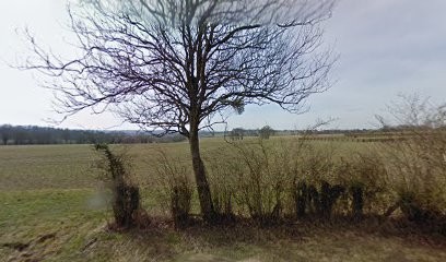 HARAS DE LA MESLERIE, Centre Equestres à Moulins-la-Marche