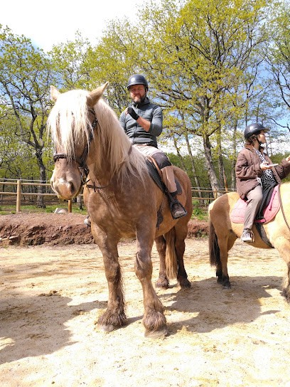 Equestrian Center - Field De Maucat, Centre Equestres au Bourg