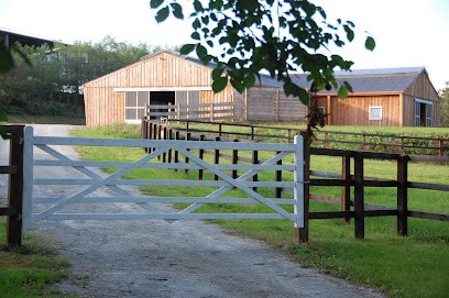 ACF ELEVAGE, Centre Equestres à Saint-Lambert-la-Potherie