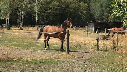 A.s.e.p. Ecurie Fialová, Centre Equestres à Tannerre-en-Puisaye