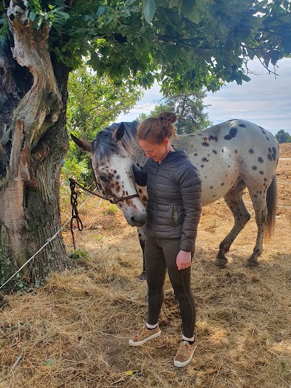 Equi'dena, Centre Equestres à Saint-Cierge-la-Serre