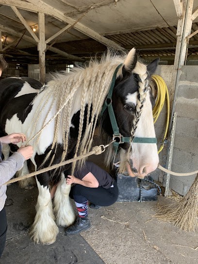 Écurie Au Franclos, Pension pour Chevaux à Gauville-la-Campagne