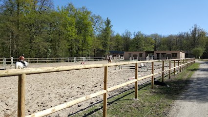Écuries D Ambran, Centre Equestres à Vouzeron