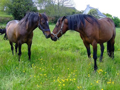 Pension Equestre Le Lay-Salvi, Pension pour Chevaux à Perros-Guirec