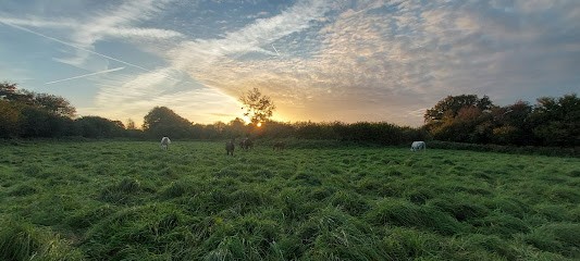 Haras De Rox, Centre Equestres à Tollevast