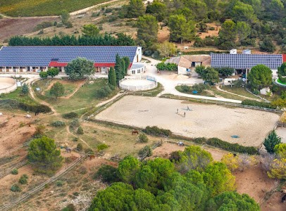 L'etrier Des Cabanelles, Centre Equestres à Valflaunès
