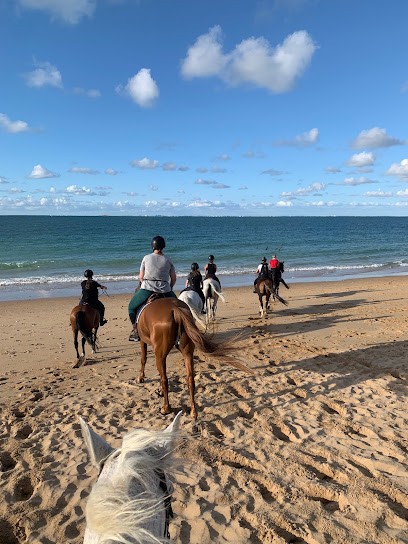 Equestrian Center Le Paddock, Centre Equestres à Saint-Pierre-d'Oléron