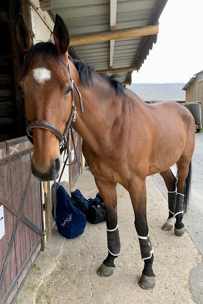 Écurie Des Bergeries, Centre Equestres à Draveil