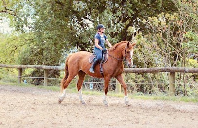 Equestrian Center De Bilaire, Pension pour Chevaux à Vannes