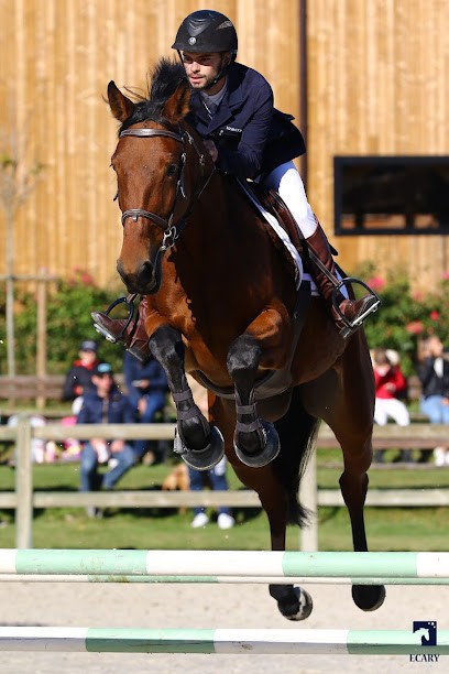 Horse Consulting, Magasin de Matériel d'Equitation à Saveuse