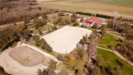 Domaine Équestre D'aarlin Paddock Paradise (Visite Sur Rdv), Pension Pour Chevaux à Boissy-la-Rivière