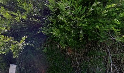ASSOCIATION DES CAVALIERS DE LA DURDENT, Centre Equestres à Héricourt-en-Caux