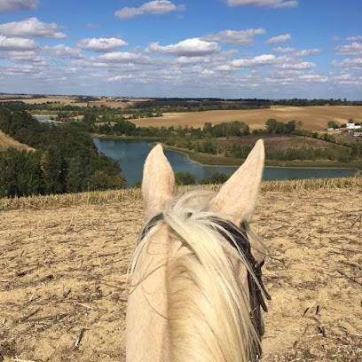 Ecuries VB, Pension pour Chevaux à Nailloux
