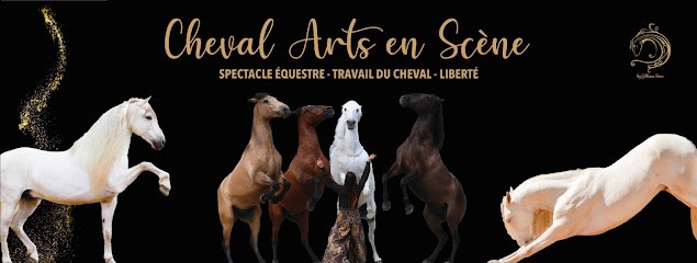 Cheval Art En Scène, Centre Equestres à Pierreclos