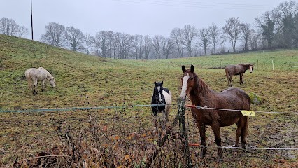 FERME EQUESTRE CHEVAL DECOUVERTE, Centre Equestres à Polminhac