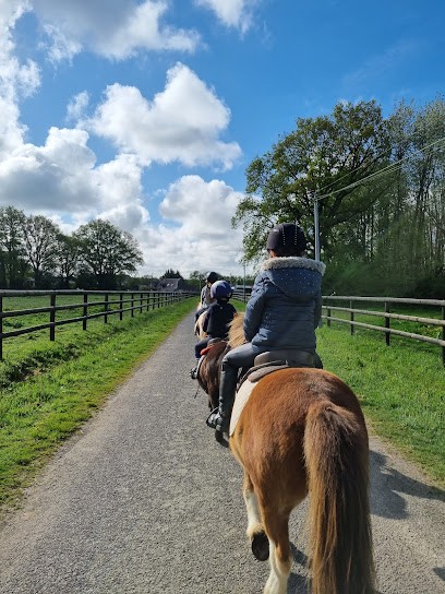 Stud L Fief, Centre Equestres à Ombrée d'Anjou