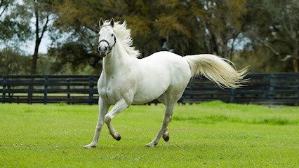 Horse En Bélinois, Centre Equestres à Moncé-en-Belin