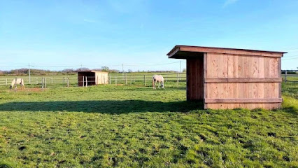 Haras Du Destrier, Pension Pour Chevaux à Larra