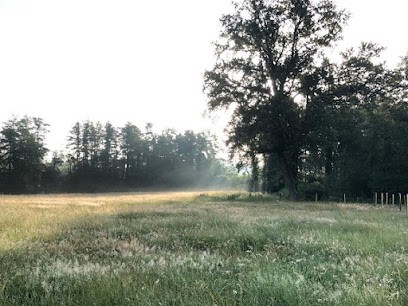 Écurie - Le Jardin des Chevaux, Pension pour Chevaux à Bâgé-Dommartin