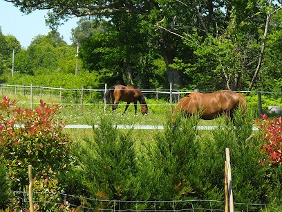 La petite Galopade, Pension pour Chevaux à Brach