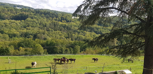 Paddock Paradise Lorette, Pension Pour Chevaux à Marlioz