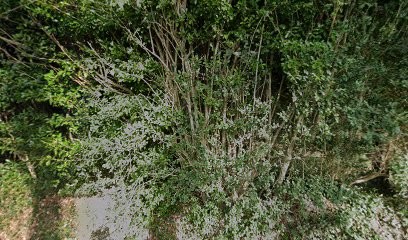 Ecuries de Kerallan, Pension pour Chevaux à Guilers