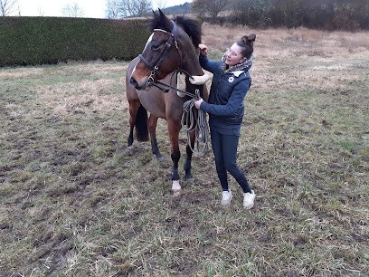 Les écuries des huileries, Centre Equestres à Saint-Martin-sur-Armançon