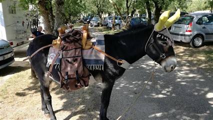 Entr'anes, Centre Equestres à Luzech