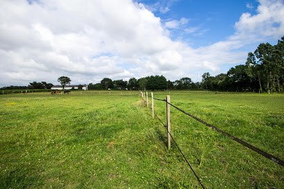 Ecurie Le Champ Chevalier, Pension pour Chevaux à Saint-Michel-Chef-Chef