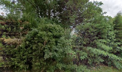 Ecuries De Mornay, Centre Equestres à Mazeuil