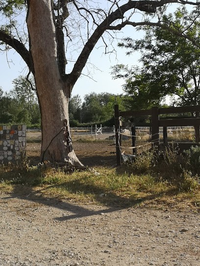 Les Ecuries Du Soleil, Centre Equestres au Pontet