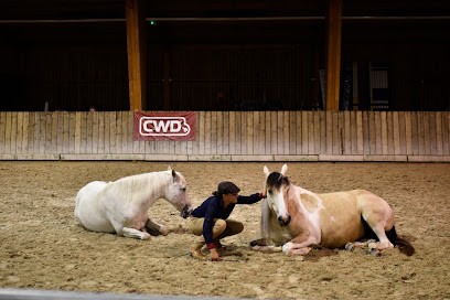 CENTRE EQUESTRE AU GRAND CHENE, Centre Equestres à Guénange