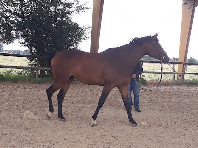 Ecuries des Hauts de Vergne, Centre Equestres à Hergnies