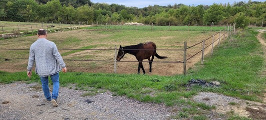 Haras - Écuries Des Méaras, Centre Equestres à Naujan-et-Postiac