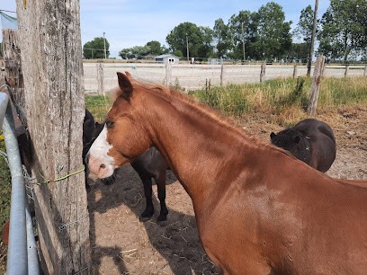 ECURIES DE LA FERME ST FOY, Centre Equestres à Ghyvelde