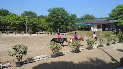 Poney Club, Centre Equestres à Monteils
