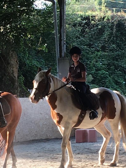 Equestrian Center Du Grand Fougeray, Centre Equestres à Saint-Senier-sous-Avranches