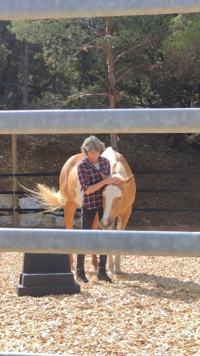 Equi Differences, Centre Equestres à Viam
