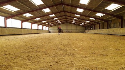 Les Ecuries De La Borde Pony Club - Pension Horses Owners Breeding Saumur, Centre Equestres à Neuillé