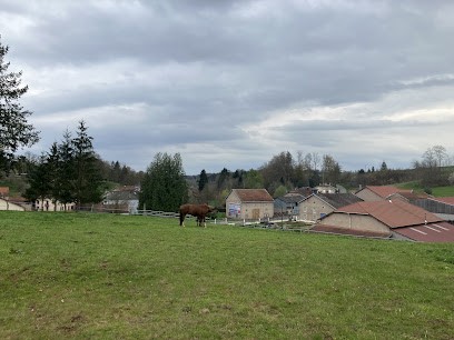Ferme Equestre, Pension pour Chevaux à Bréménil