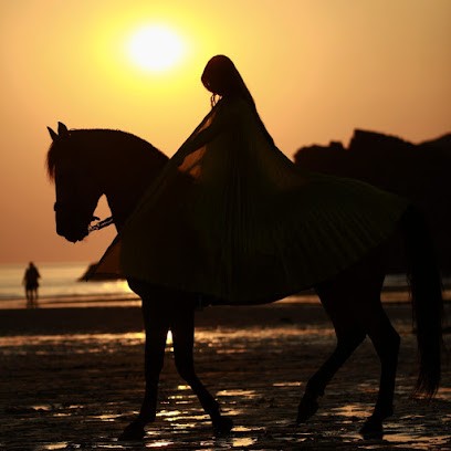 Ecurie Des 5 Chênes, Centre Equestres à Ploeren