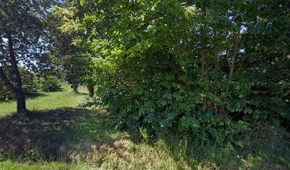 Caillauld Laurent, Centre Equestres à Plerguer