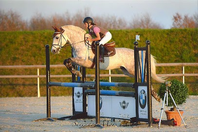 STUD OF THE HILL, Pension pour Chevaux à Pratviel