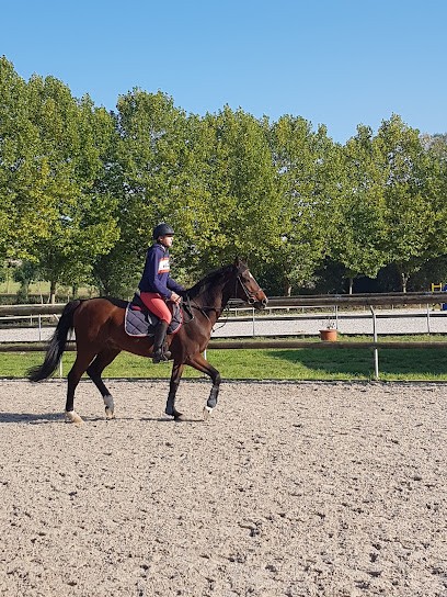 EARL SCHNIEBS ECURIES DE LA FALIZE, Centre Equestres à Démuin