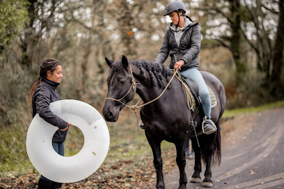 Cheval Serein, Centre Équestre à Périssac