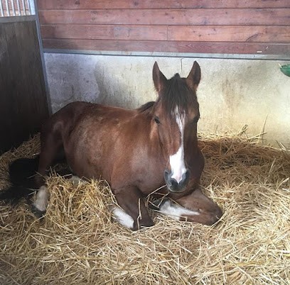 CERCLE EQUESTRE LA FERMETTE, Centre Equestres à La Rivière-de-Corps