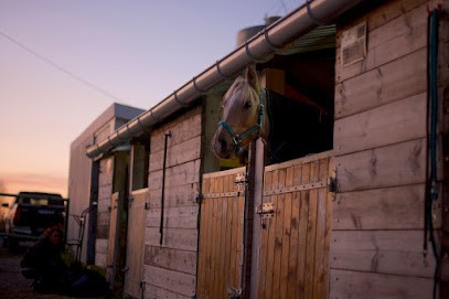Ecurie Du Fief Malzais, Centre Equestres à Dompierre-sur-Mer